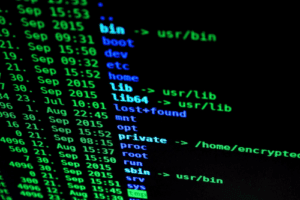Photo of data on a computer screen
