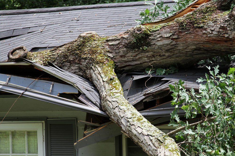 Gilbert-Blog-Featured-Image-Important-Tornado-and-Storm-Safety-Tips Photo of torando damage on a home, a tree has fallen on a roof